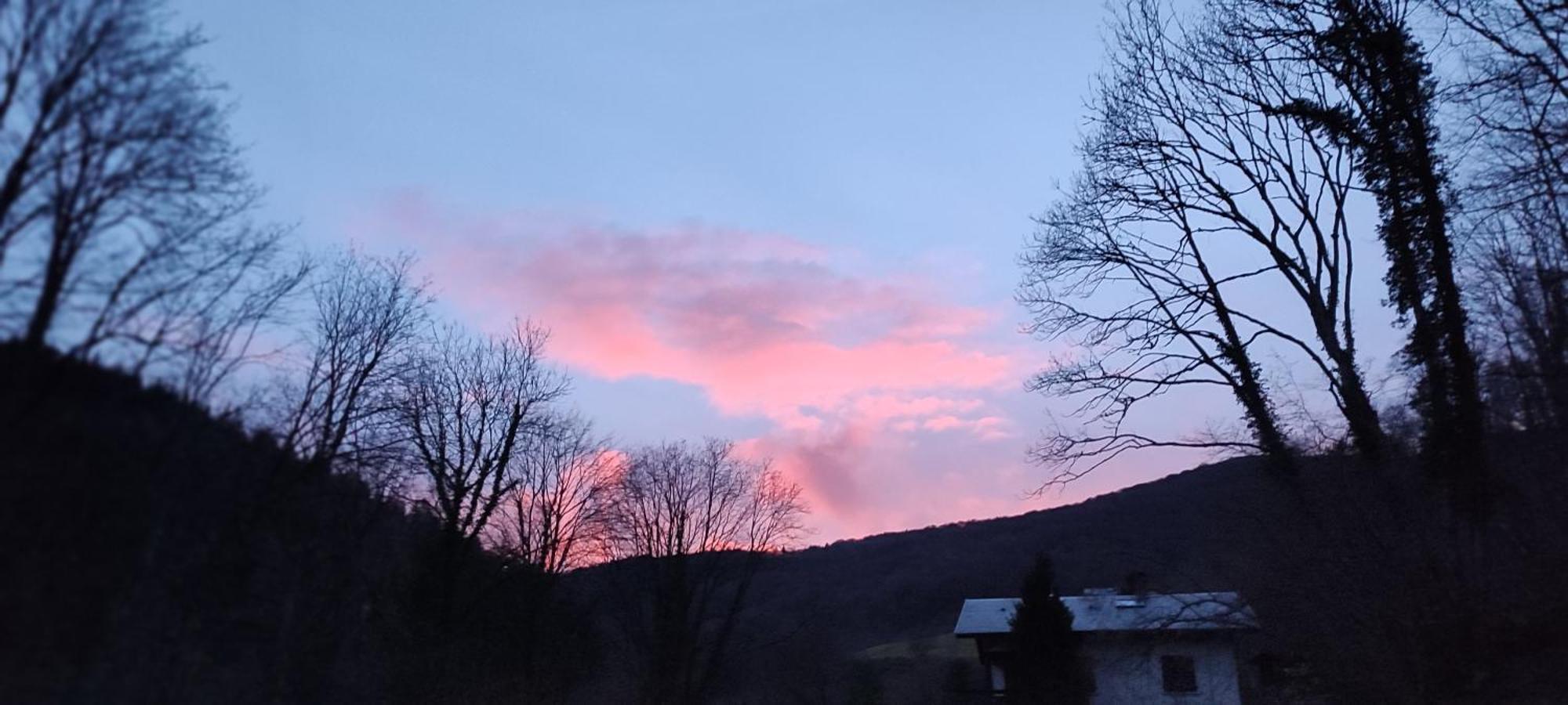 فيلا Un Air D'Alsace Rimbach-près-Guebwiller المظهر الخارجي الصورة